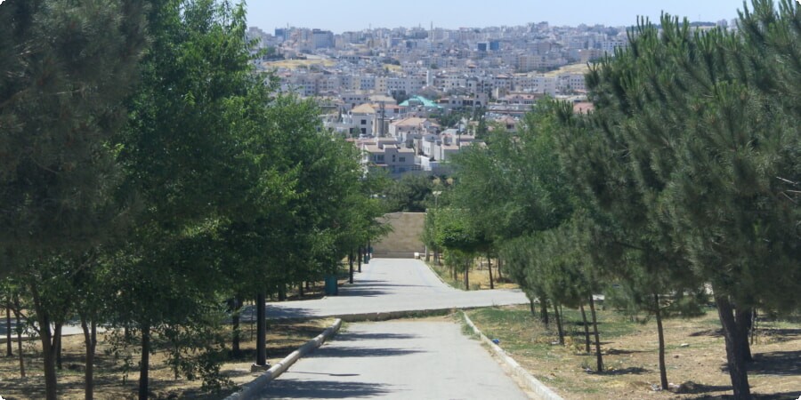 The Best of Amman