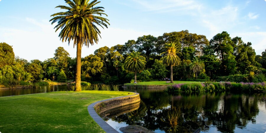 What to Do in Melbourne