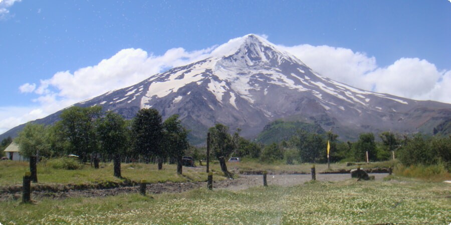 Experiences in Neuquén