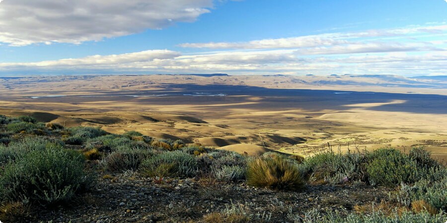 Experiences in Neuquén